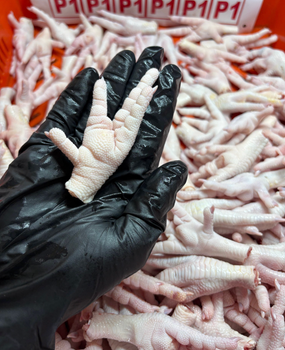 Frozen Chicken Paws – Grade A Halal Chicken Feet from Brazil - BRF S.A - Brazil